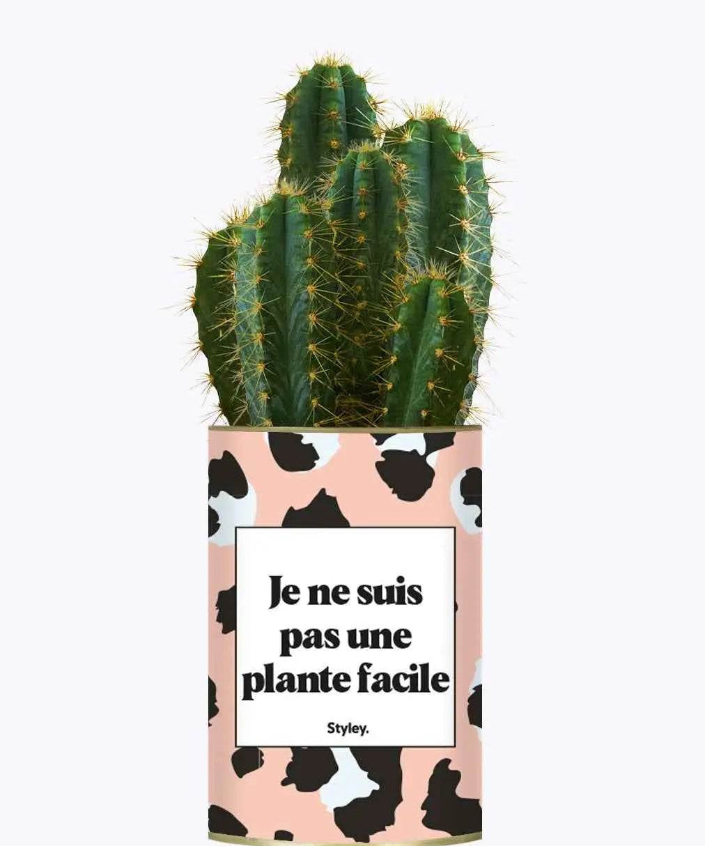 Je ne suis pas une plante facile - Plante Cactus varié