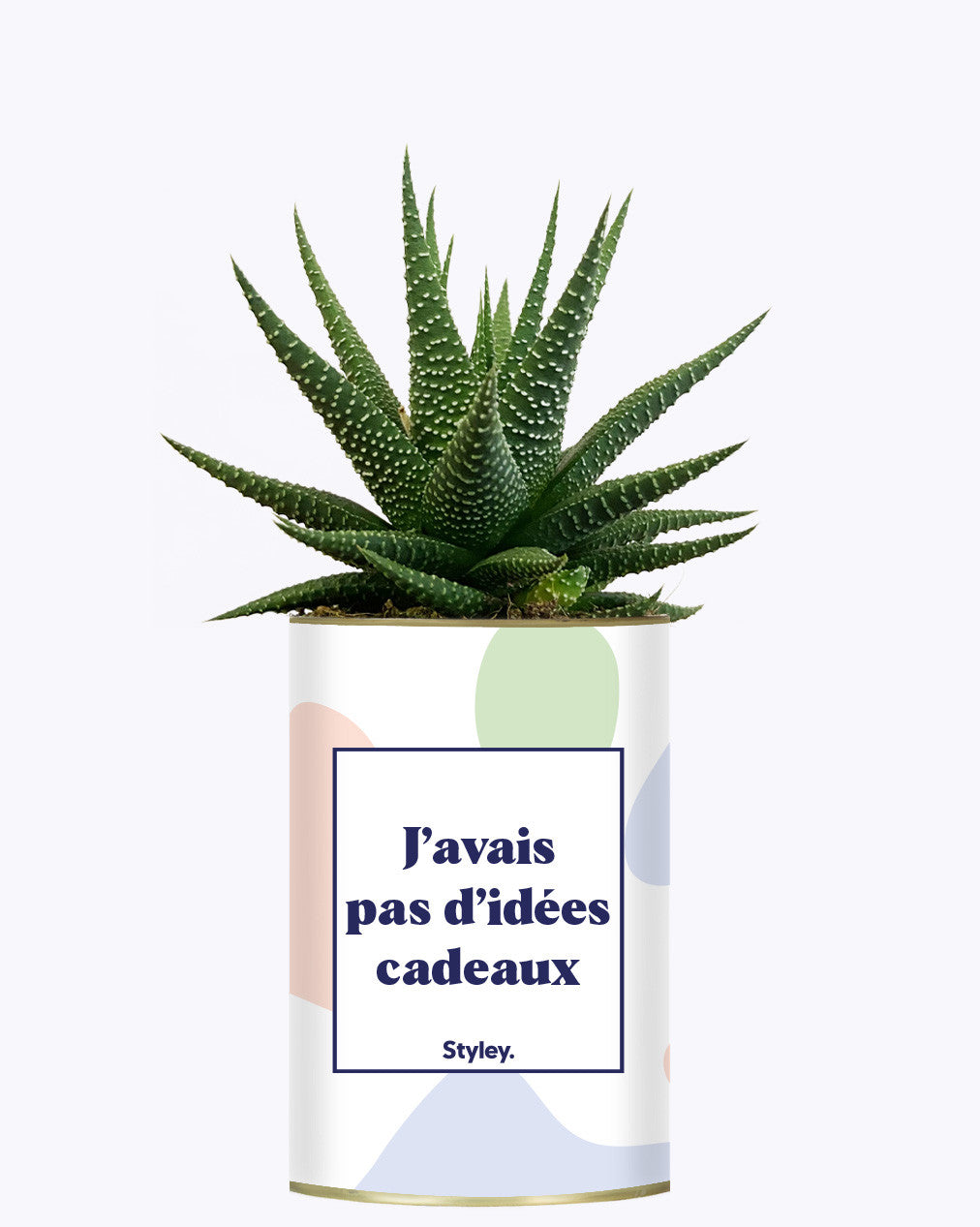 J'avais pas d'idées cadeaux - Cactus