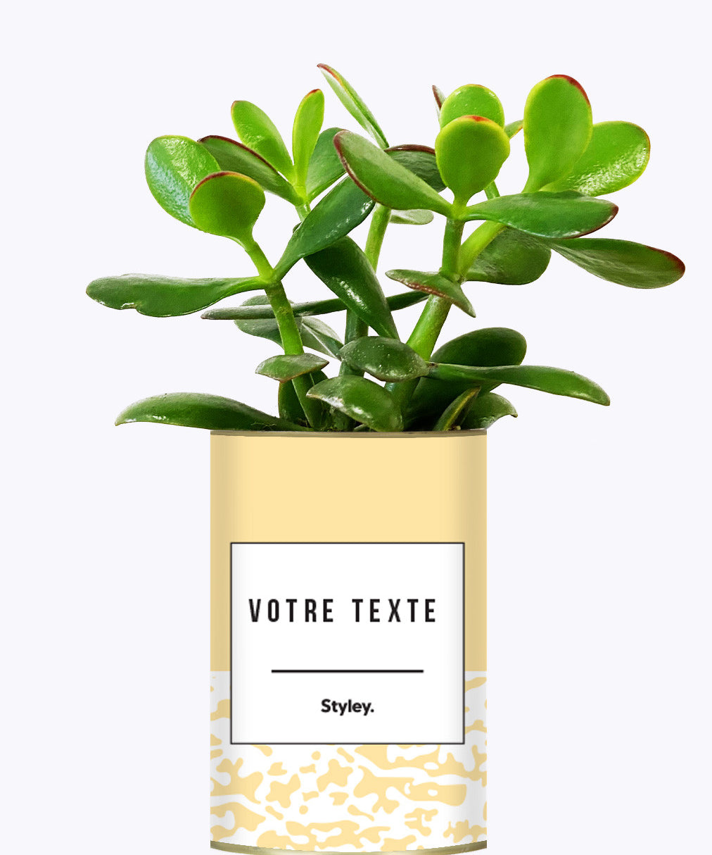 Adjectif personnalisable jaune - Cactus