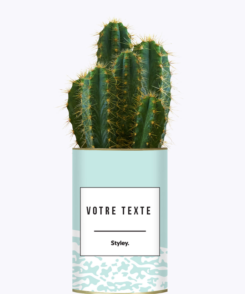 Adjectif personnalisable bleu - Cactus