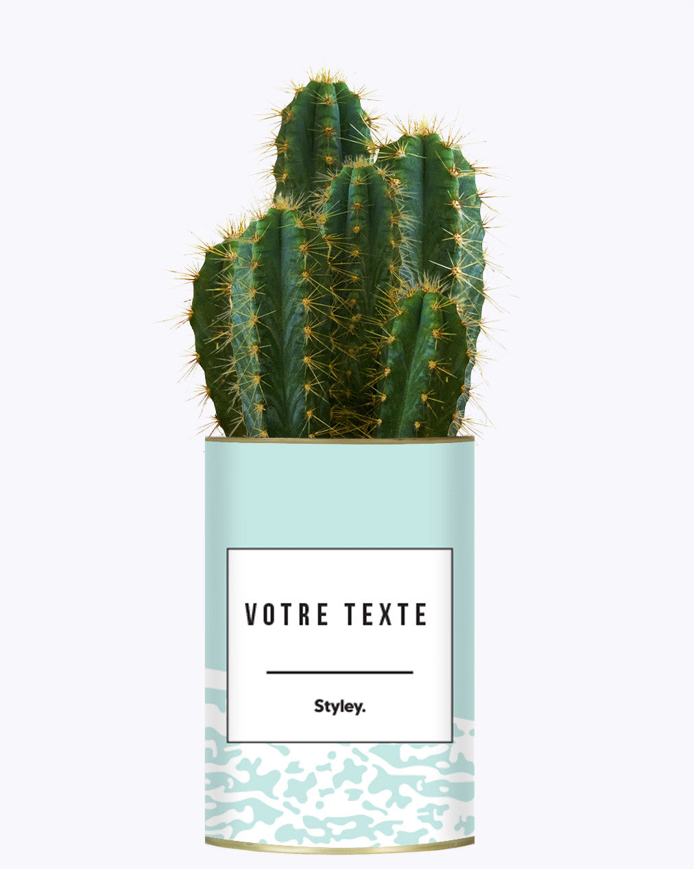 Adjectif personnalisable bleu - Cactus