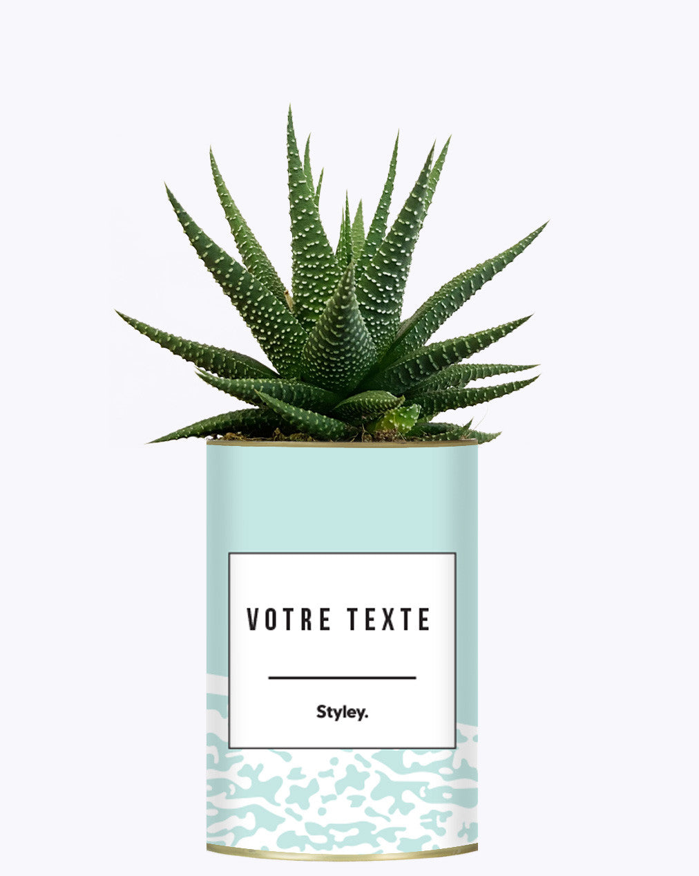 Adjectif personnalisable bleu - Cactus