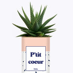 P'tit coeur - Cactus