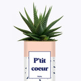 P'tit coeur - Cactus