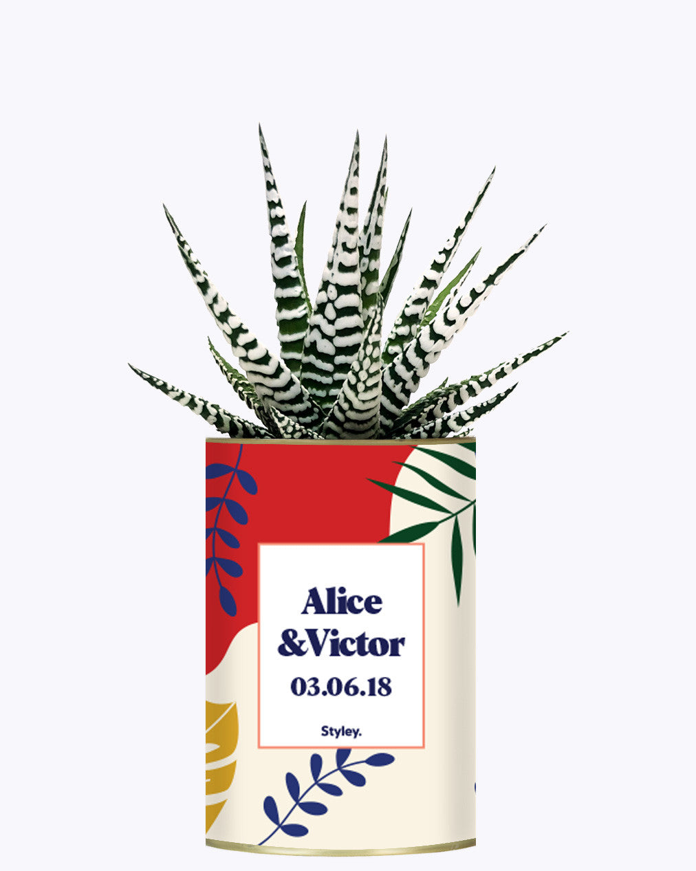 Tropical personnalisable - Cactus