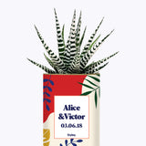 Tropical personnalisable - Cactus