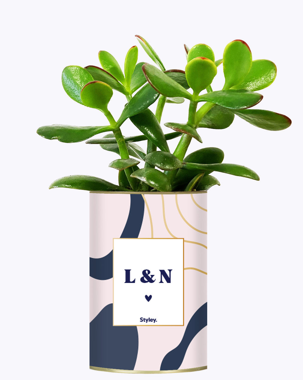 Initiales personnalisables - Cactus