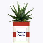 Femme fatale - Cactus