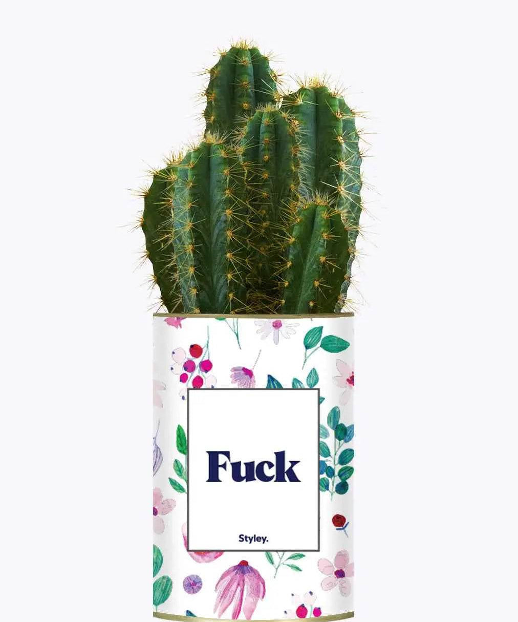 Fuck - Plante Cactus varié