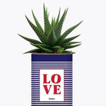 LOVE - Plante