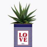 LOVE - Plante