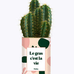 Le gras c'est la vie - Plante Cactus varié