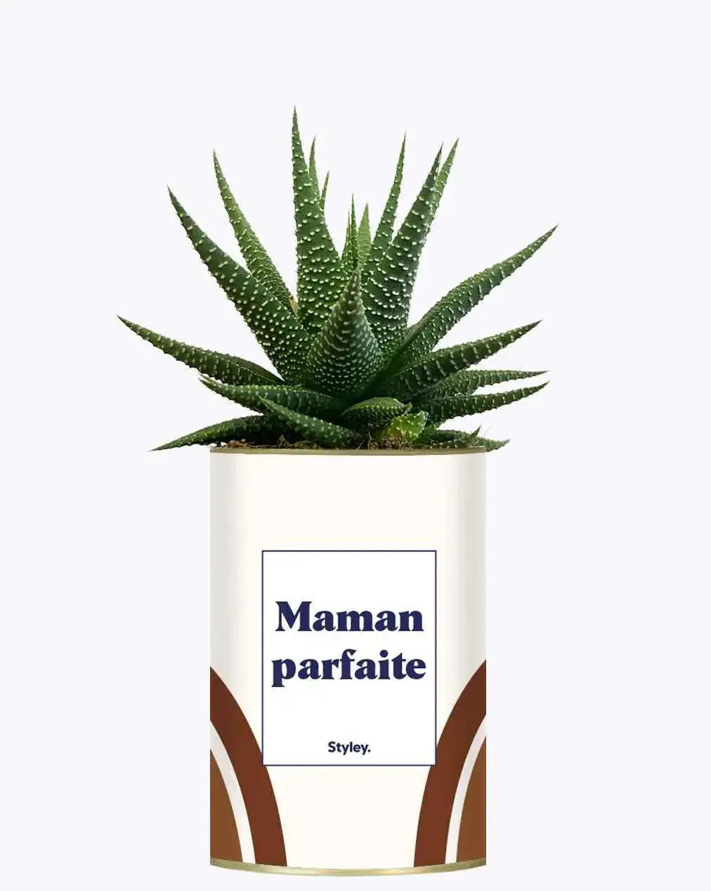 Maman parfaite - Plante