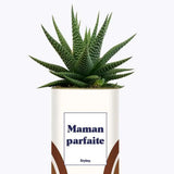 Maman parfaite - Plante