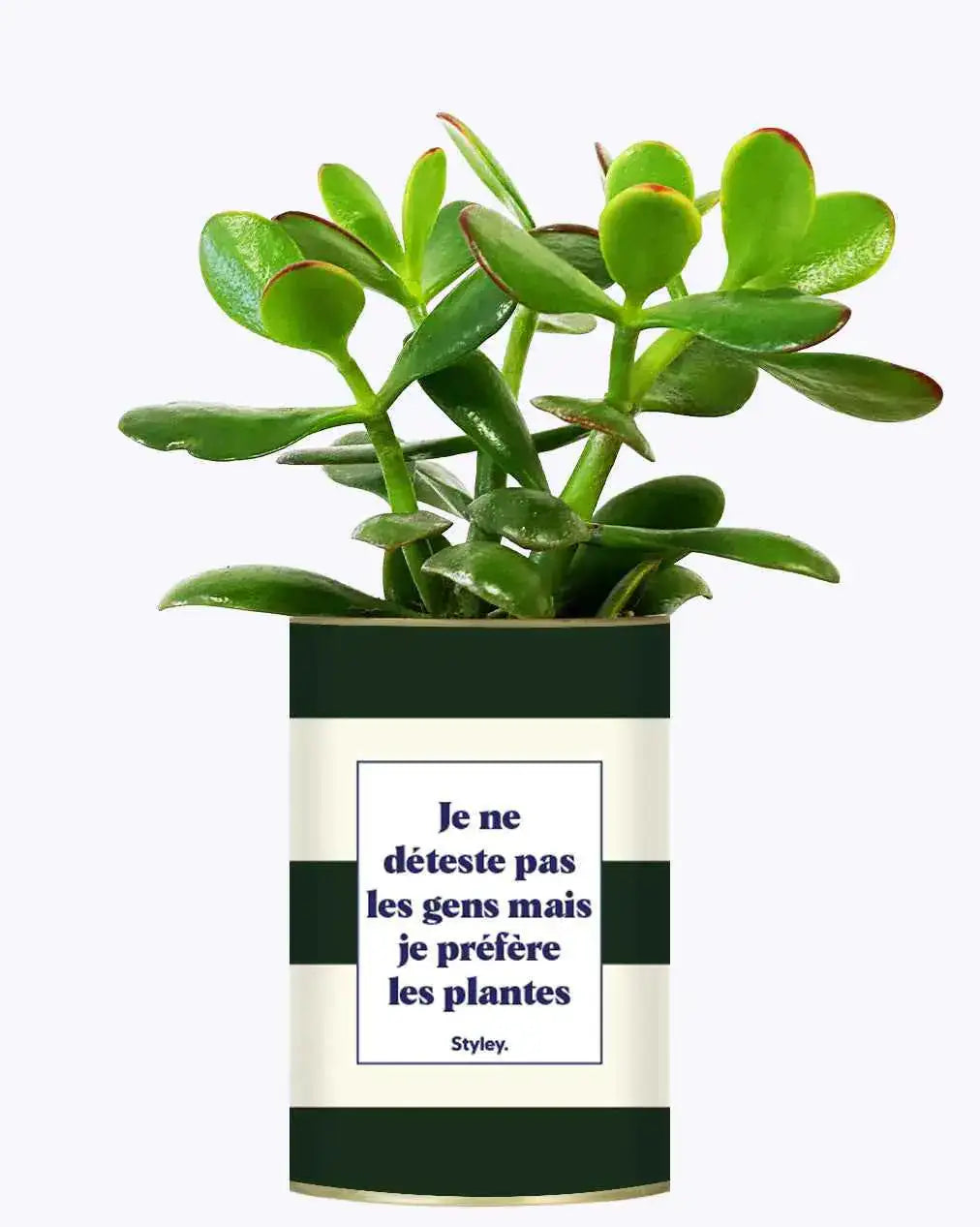 Je ne déteste pas les gens mais je préfère les plantes - Plante