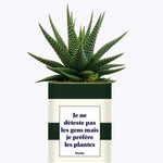 Je ne déteste pas les gens mais je préfère les plantes - Plante Haworthia varié