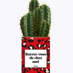 Barrez-vous de chez moi - Plante Cactus varié