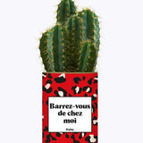 Barrez-vous de chez moi - Plante Cactus varié