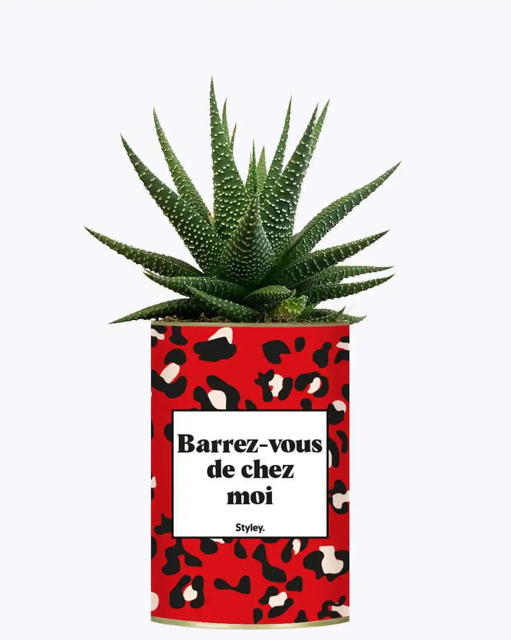 Barrez-vous de chez moi - Plante