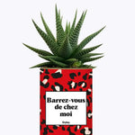 Barrez-vous de chez moi - Plante