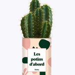 Les potins d'abord - Plante Cactus varié