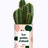 Les potins d'abord - Plante Cactus varié