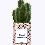 Salut Connasse - Plante grasse