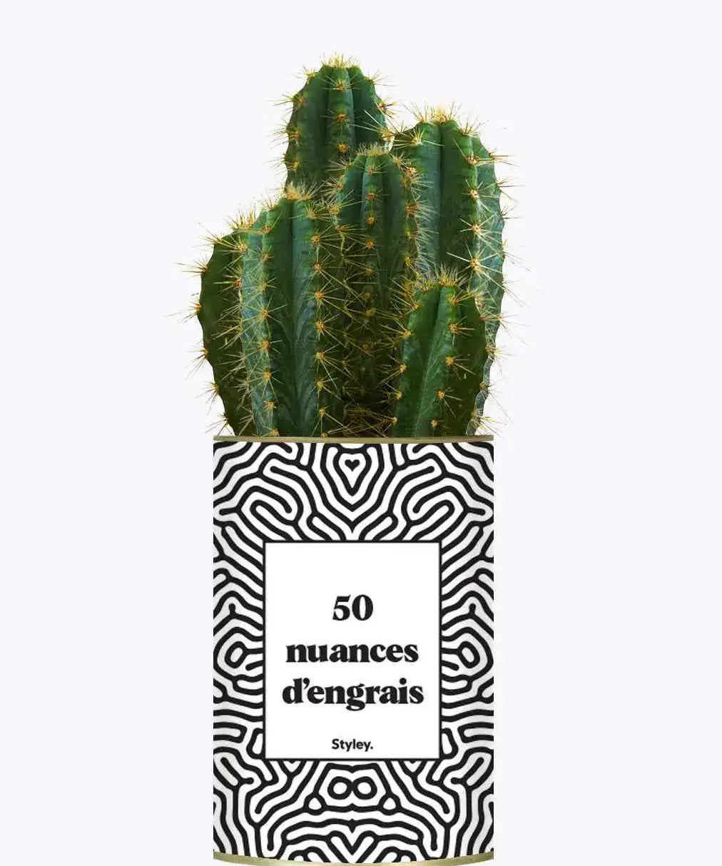 50 Nuances d'engrais - Plante Cactus varié