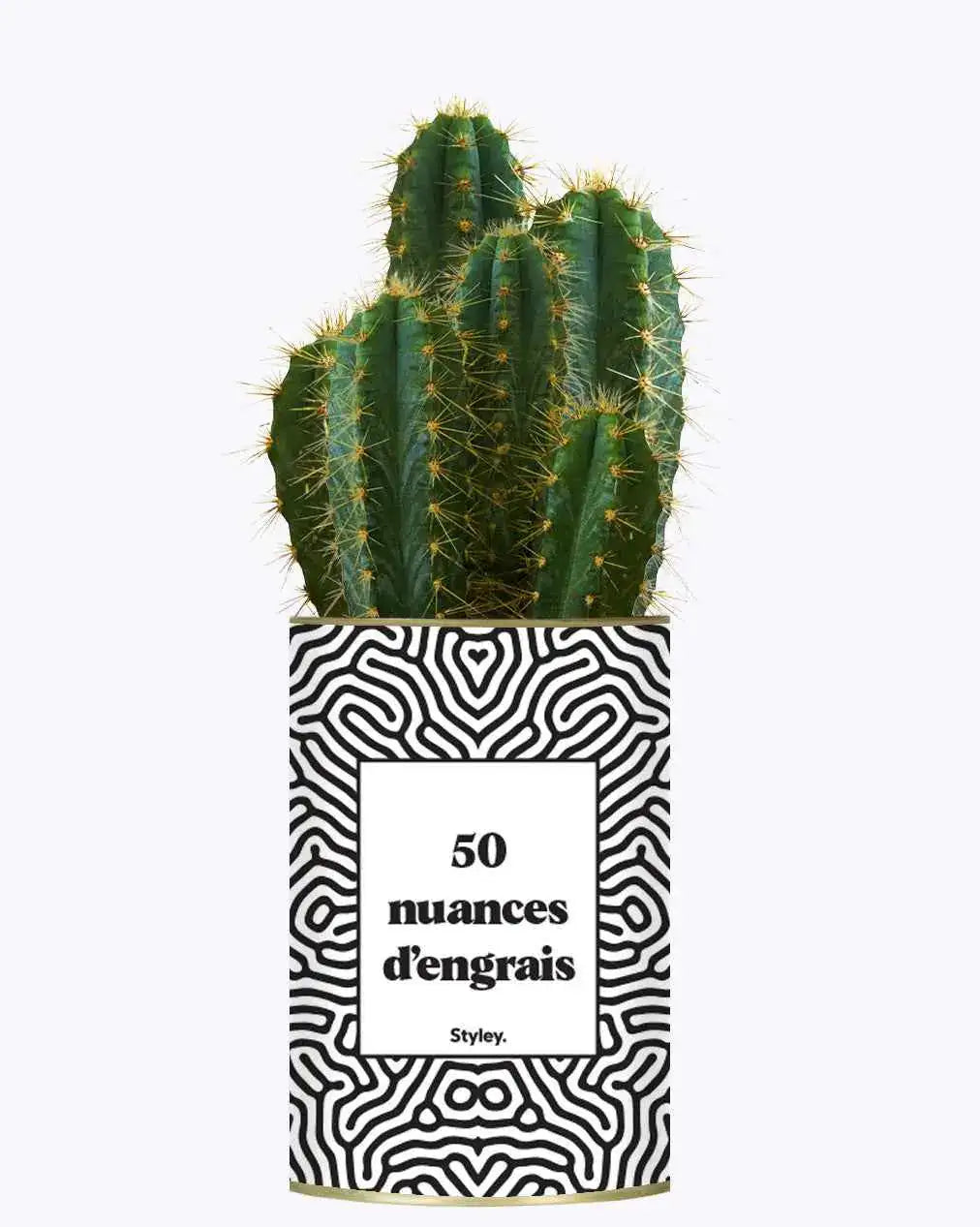 50 Nuances d'engrais - Plante Cactus varié