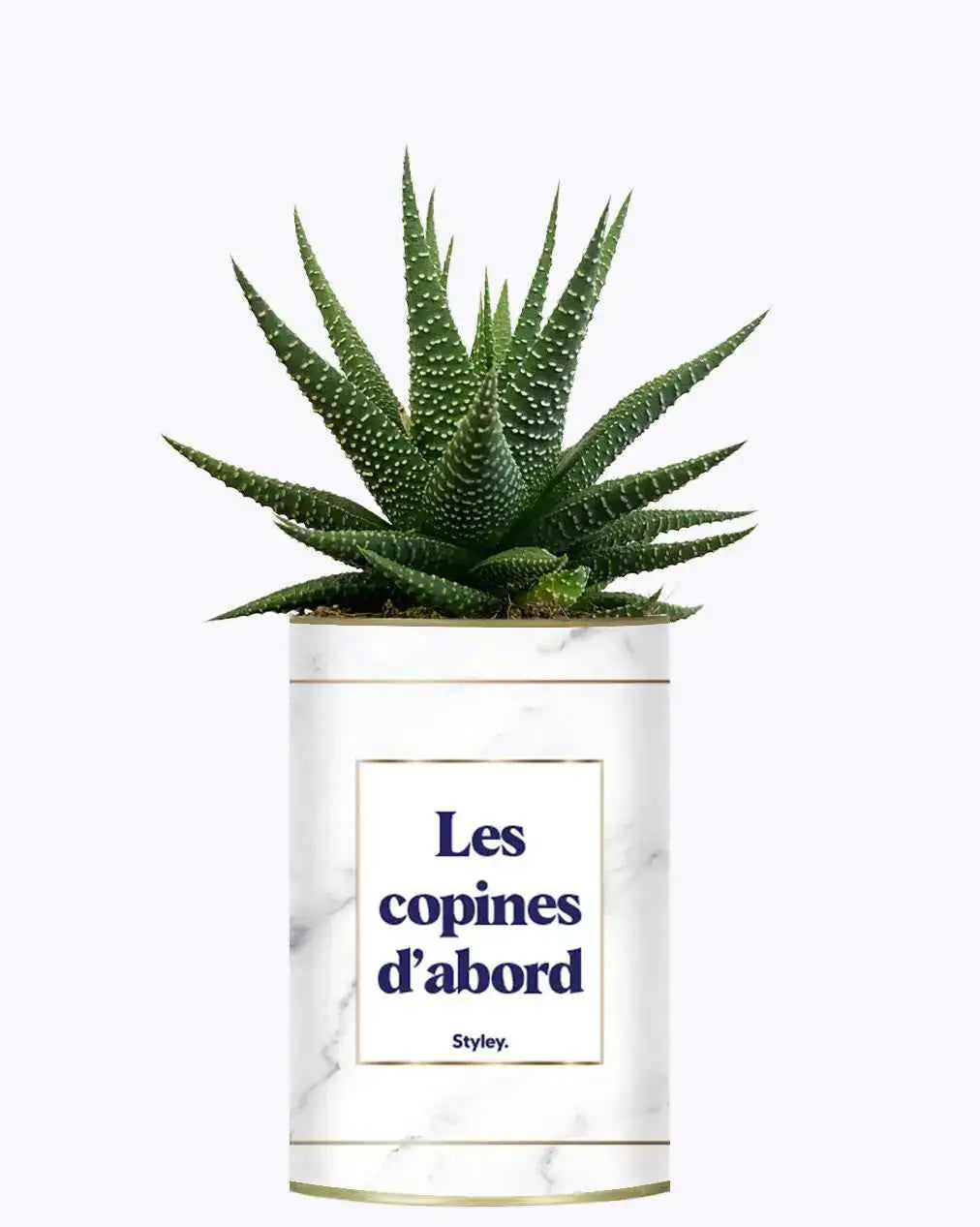Les copines d'abord - Plante