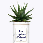 Les copines d'abord - Plante