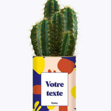 Cactus Josiane - Plante Personnalisable