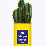 Me fais pas crever - Plante Cactus varié