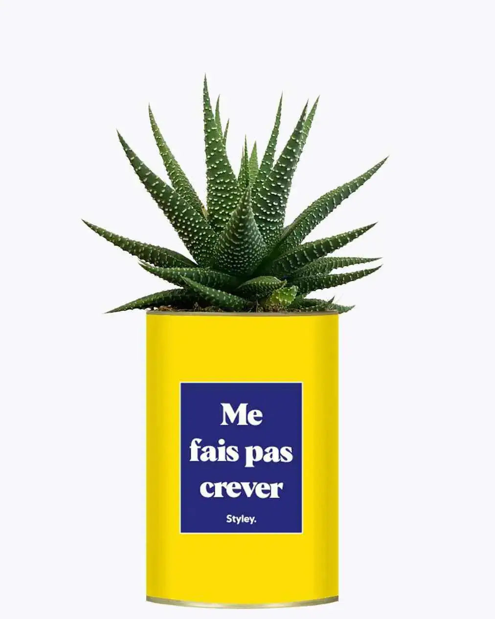 Me fais pas crever - Plante