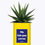 Me fais pas crever - Plante