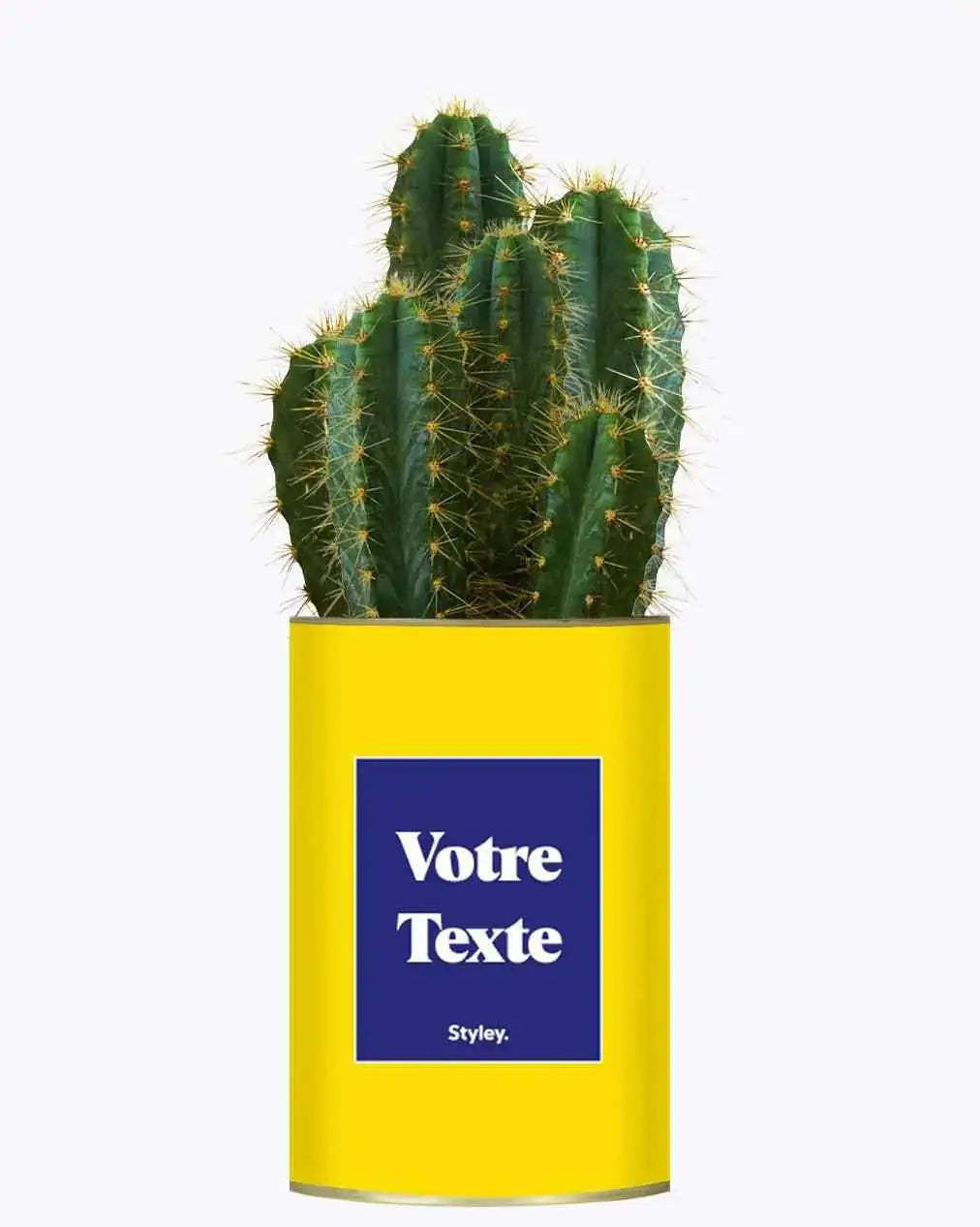 Cactus Thérèse - Plante Personnalisable