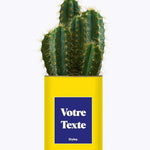 Cactus Thérèse - Plante Personnalisable