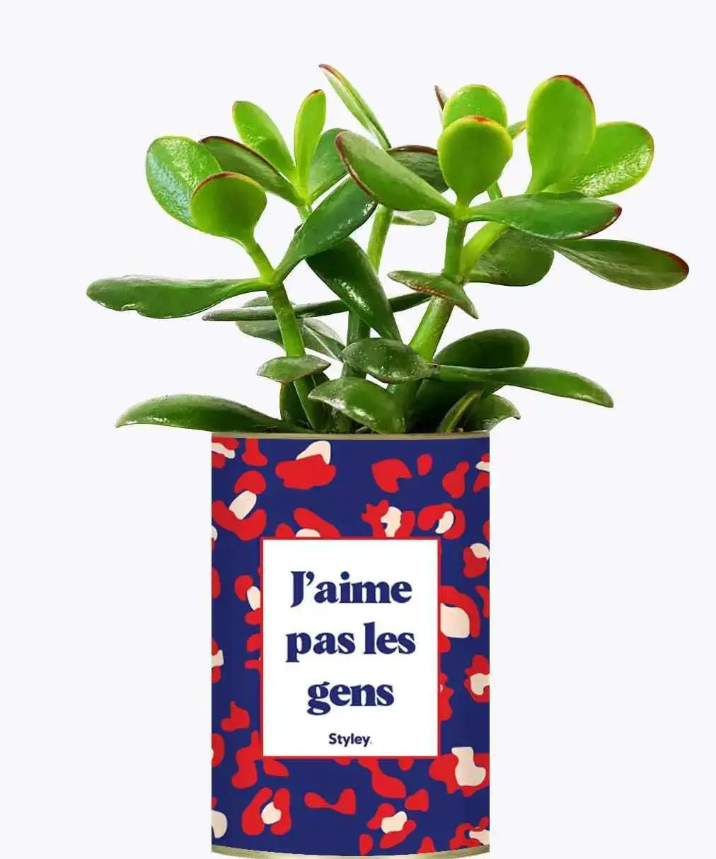 J'aime pas les gens - Plante