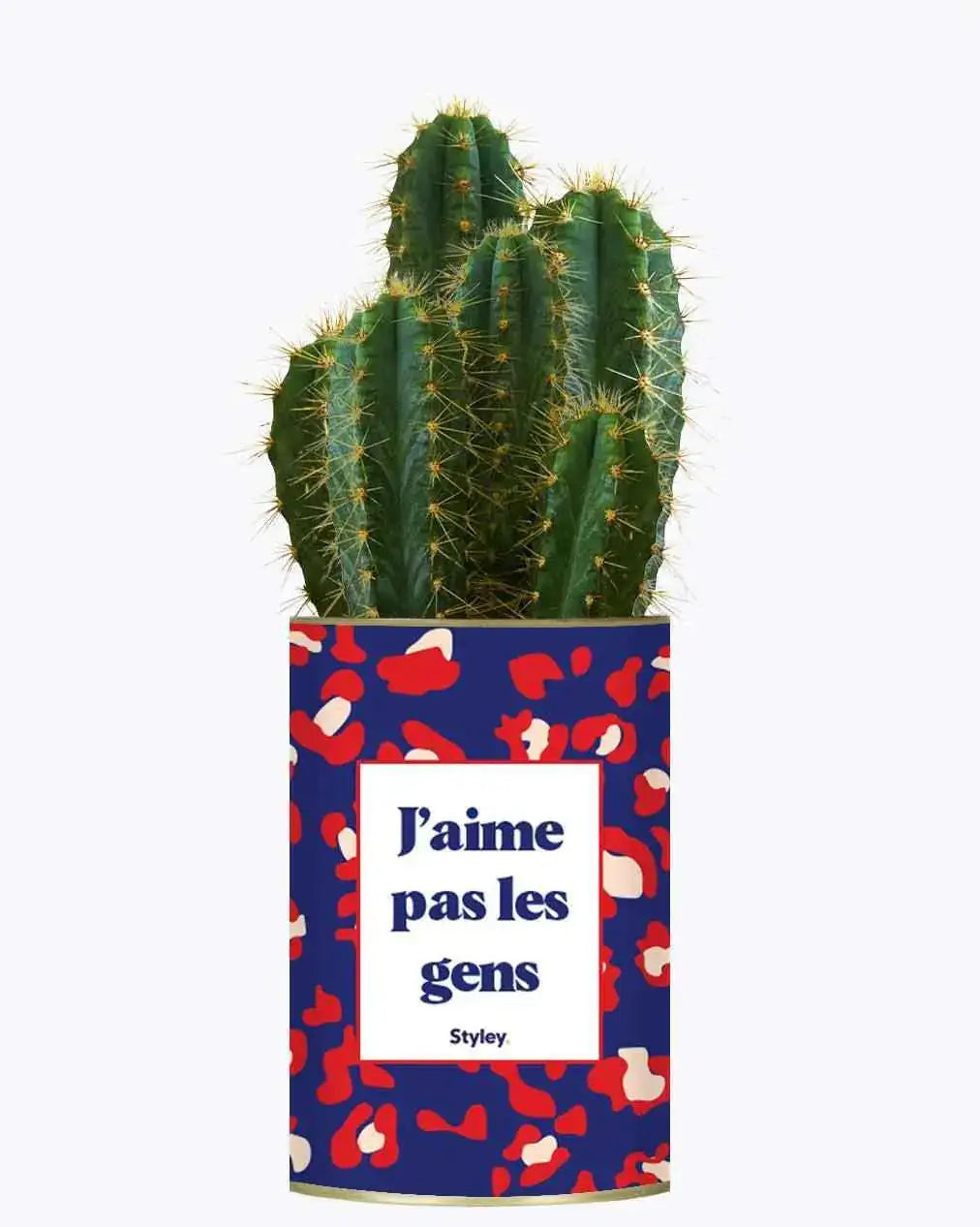 J'aime pas les gens - Plante Cactus varié