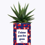 J'aime pas les gens - Plante Haworthia varié