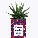J'aime pas les gens - Plante Haworthia varié