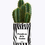 Prends en de la Graine - Plante Cactus varié