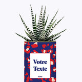 Cactus Lison - Personnalisable