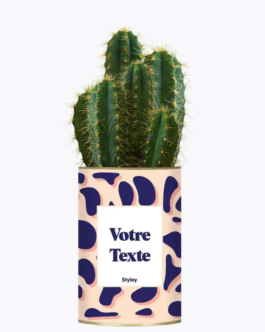 Cactus Léon - Plante Personnalisable