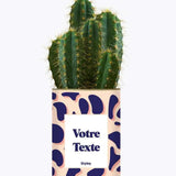 Cactus Léon - Plante Personnalisable