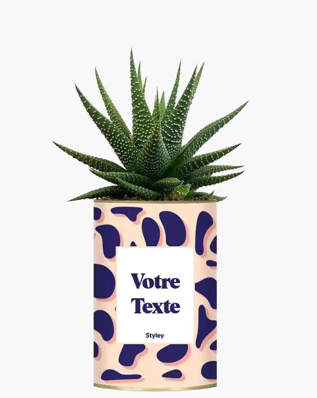 Cactus Léon - Plante Personnalisable