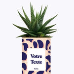 Cactus Léon - Plante Personnalisable