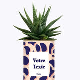 Cactus Léon - Plante Personnalisable