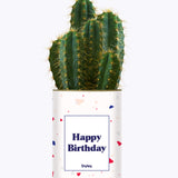 Happy Birthday - Cactus
