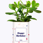 Happy Birthday - Cactus